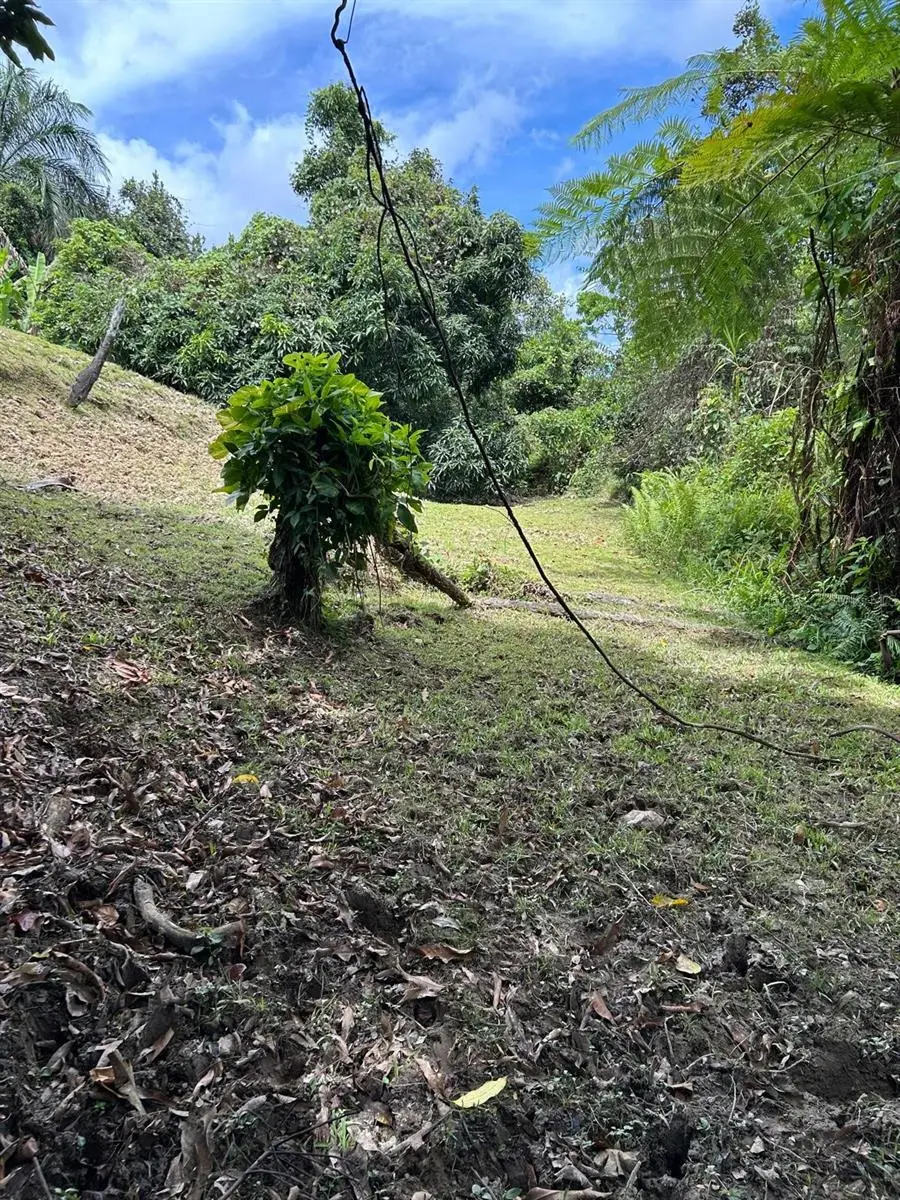 Pr 9989 Int, Luquillo, PR 00773 - #2