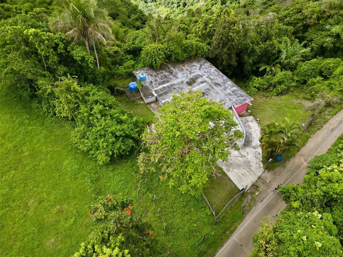 15 km 10.8 Bo Las Palmas, Guayama, PR 00784 - #1