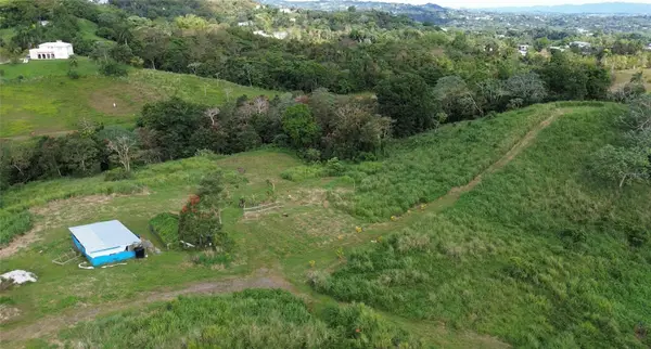 2 Camino El Cabrito, HUMACAO, PR 00791