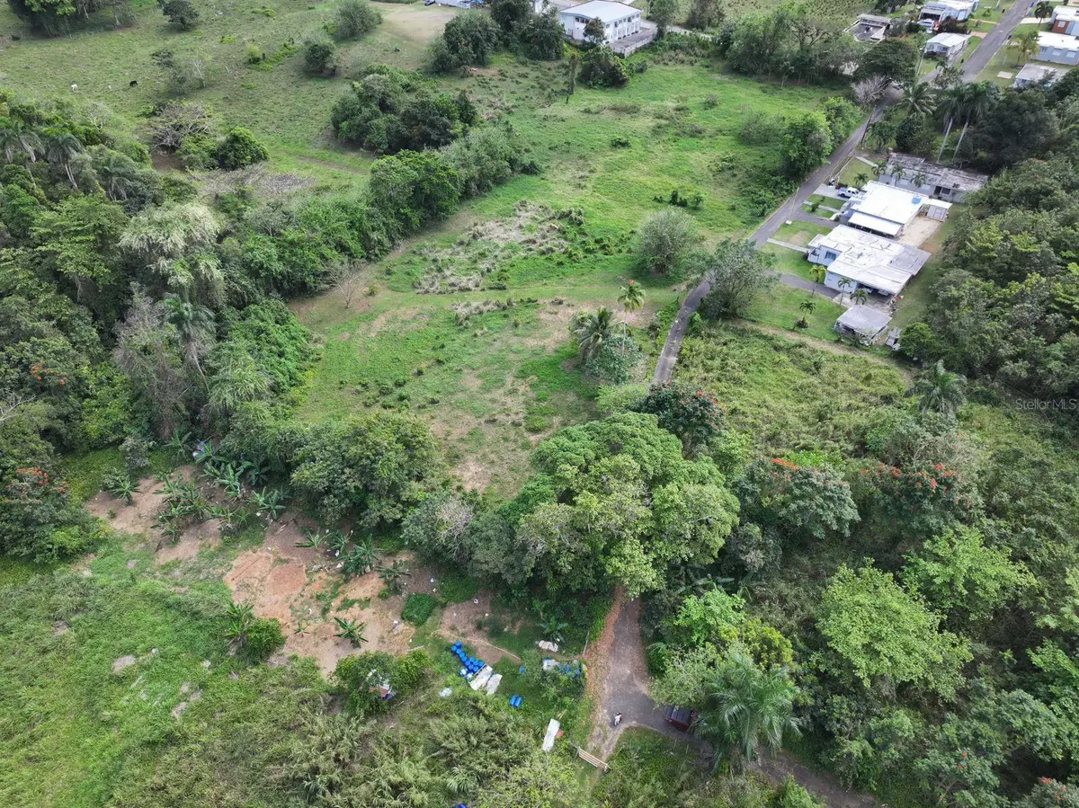 Carr 448, Camuy, PR 00627 - #1