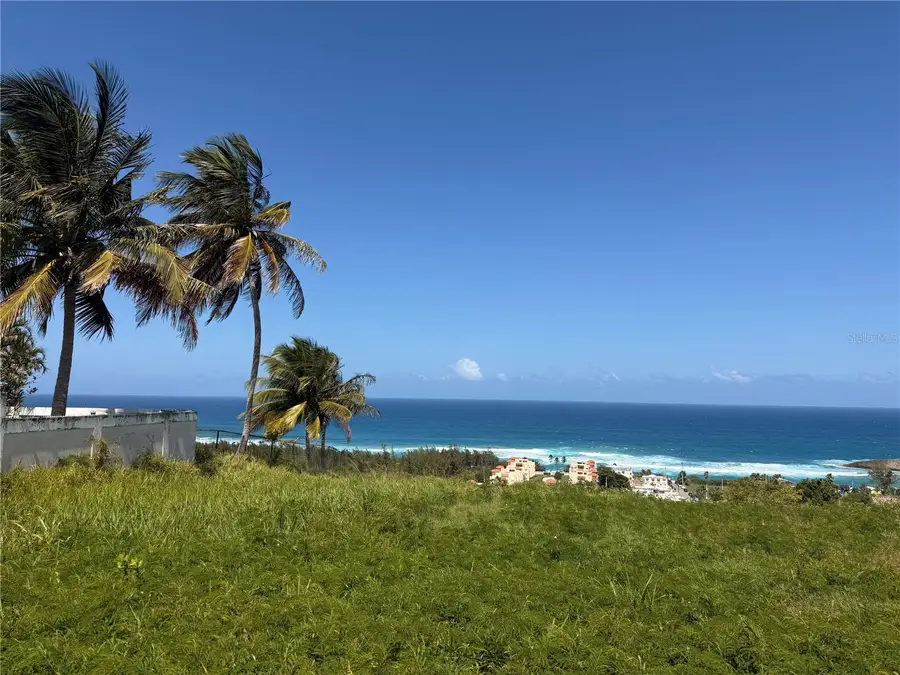 459 Pozo Dulce, Isabela, PR 00662 - #2
