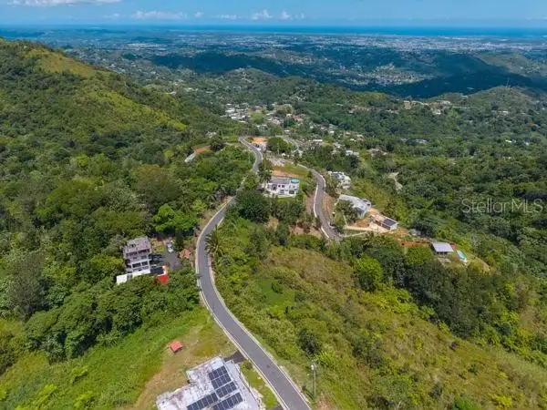 PR 879 Bo Guaraguao Arriba #2, Bayamon, PR 00956 - #2