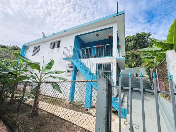 CALLE MARTIN BARRY Lote 4, Sector Salcipuedes, OROCOVIS, PR 00720
