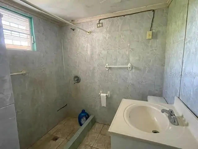 #10 Lina Corretjer Calle Verdum, Ciales, PR 00638 - #2