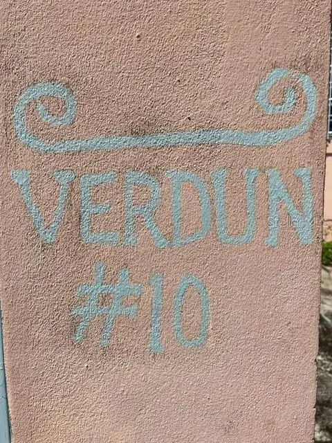 #10 Lina Corretjer Calle Verdum, Ciales, PR 00638 - #3