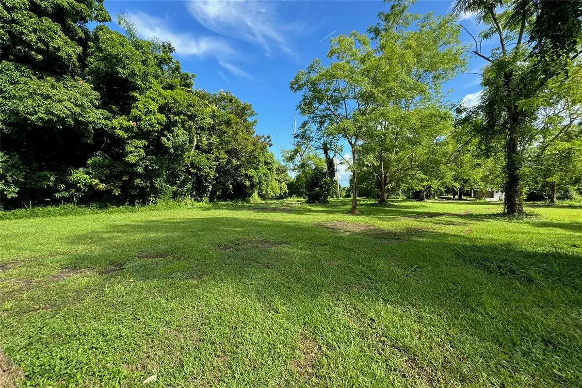 Las Lomas, Canovanas, PR 00729 - #1