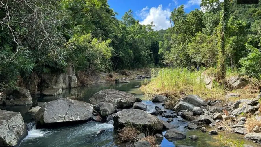 Las Lomas, Canovanas, PR 00729 - #2