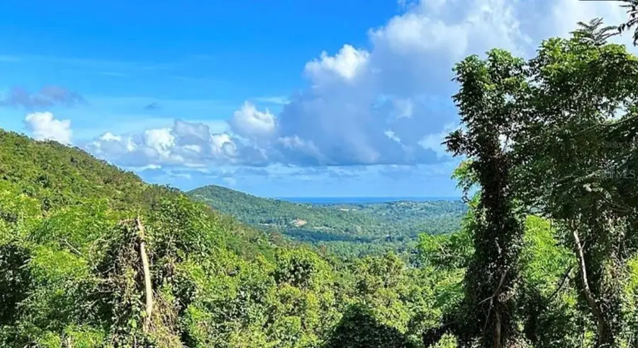 Las Lomas, Canovanas, PR 00729 - #3