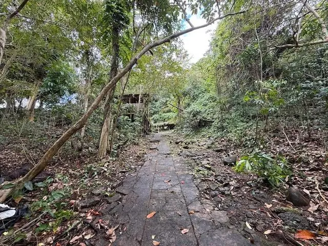 Bo Jimenez Carr 966, Rio Grande, PR 00745 - #1
