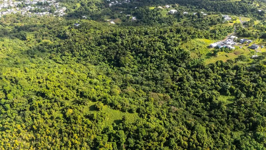 966 Zarzal Road, Rio Grande, PR 00745 - #2