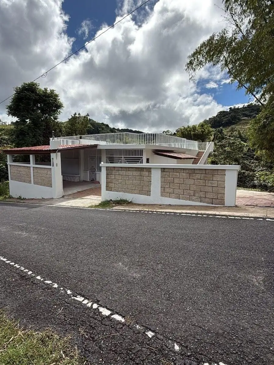 PR 7790 Juan Asencio Juan Asencio, Aguas Buenas, PR 00703 - #2