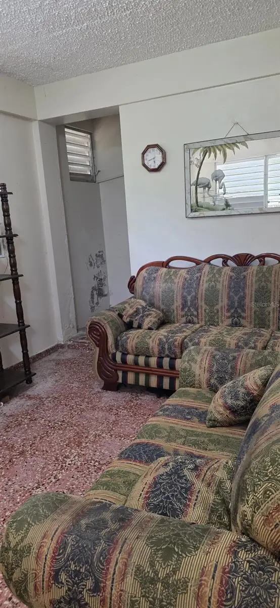 53 Aquilino Carr. 430, Bo. Ovejas, Anasco, PR 00610 - #3