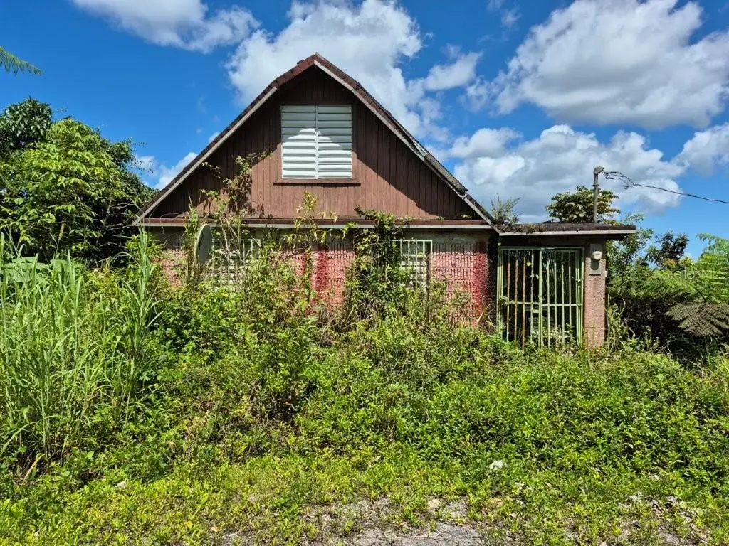KM 24.1 Pr 143, Juana Diaz, PR 00795 - #1