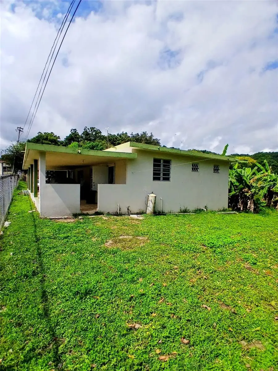 372 Sector Cotuy, Yauco, PR 00698 - #2
