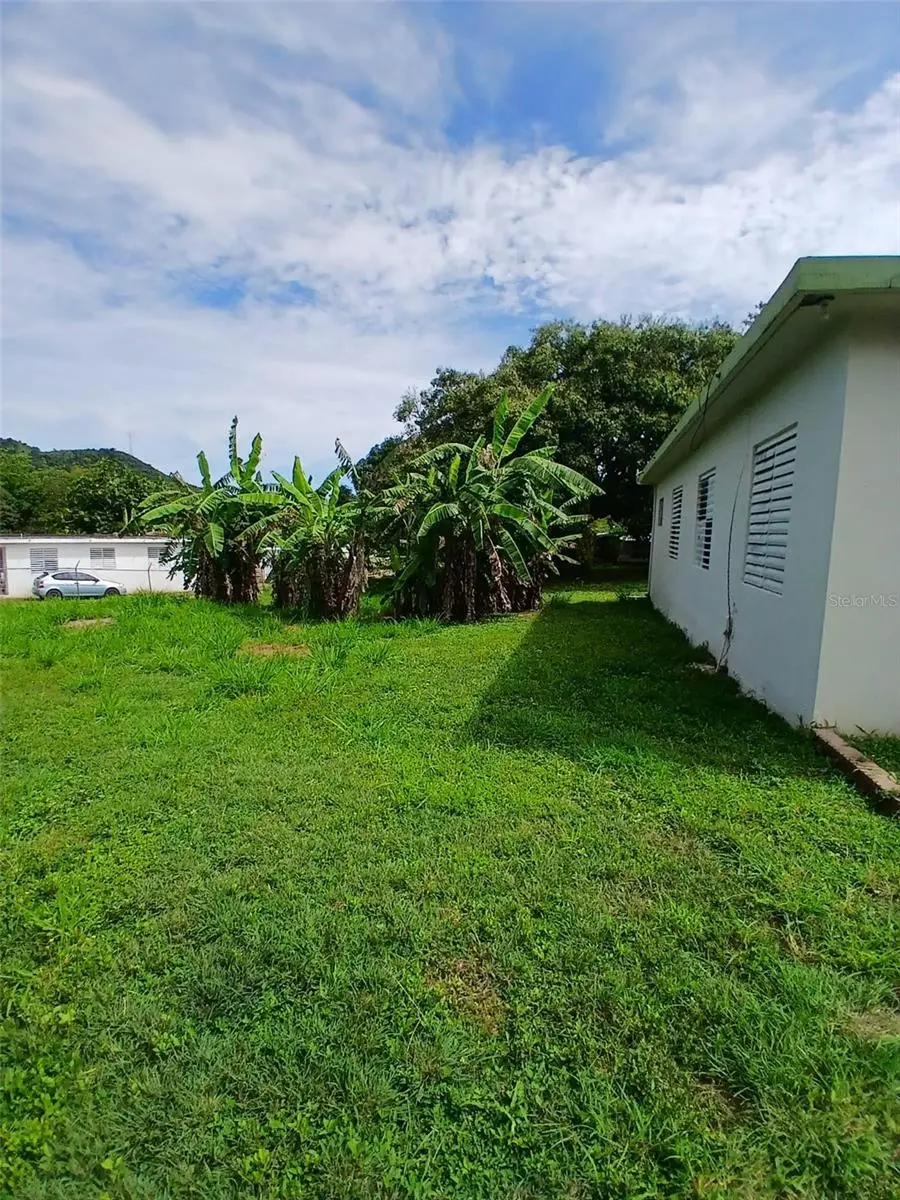 372 Sector Cotuy, Yauco, PR 00698 - #3