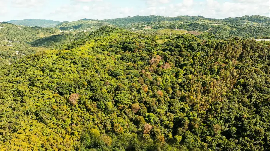 Carr 853 Bo. Cacao Lote 15, Carolina, PR 00987 - #3