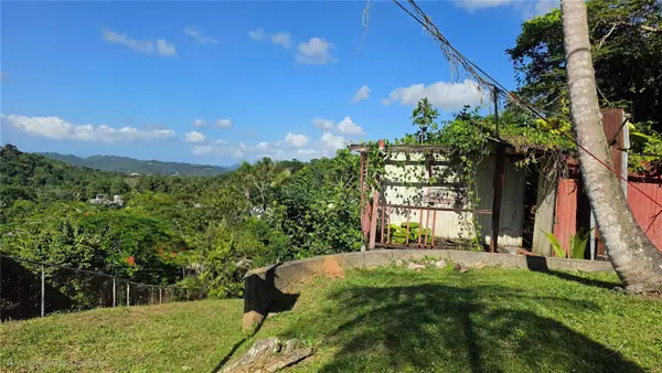 Bo. Guaraguao Sector Sanchez Mulero #lote 1, BAYAMON, PR 00956