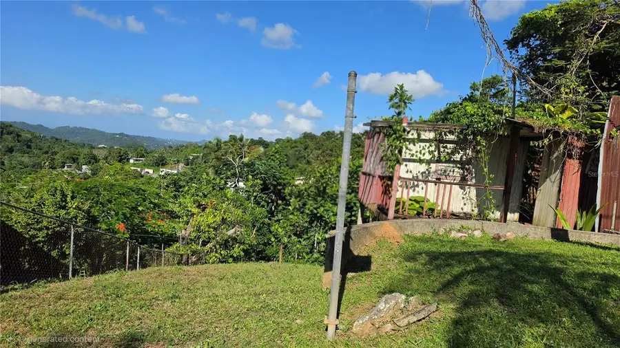 Bo. Guaraguao Sector Sanchez Mulero #lote 1, Bayamon, PR 00956 - #2