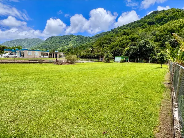 Address Withheld By Seller, YABUCOA, PR 00767
