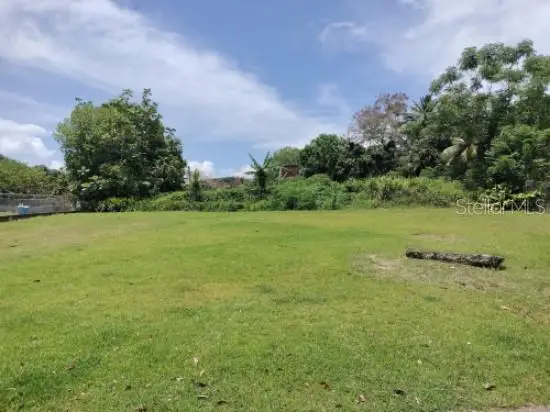 Carr. 98.5, Fajardo, PR 00738 - #2