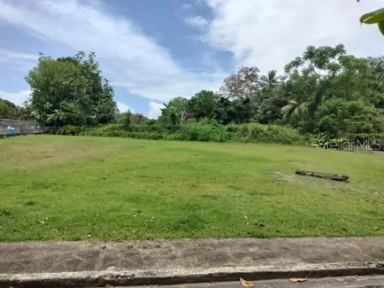 Carr. 98.5, Fajardo, PR 00738 - #3