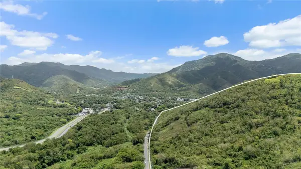PR-748 Caimital, GUAYAMA, PR 00784