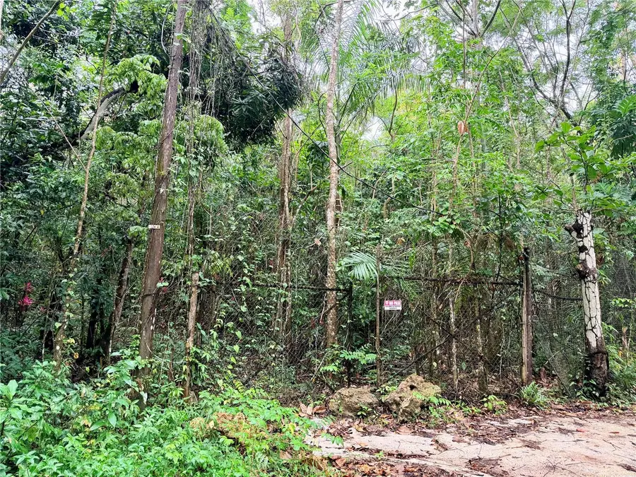 Carr 646 km 7.2 Bo Ro Arriba, Vega Baja, PR 00693 - #3