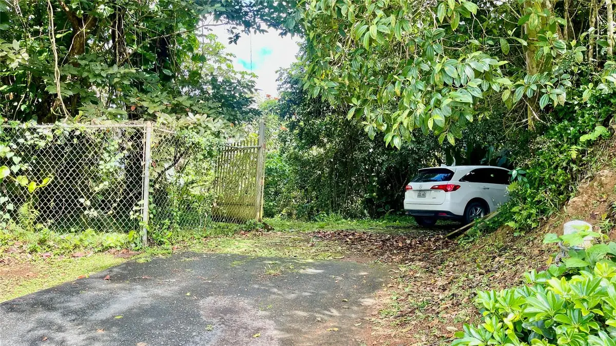 718 Bo. Pasto Road, Aibonito, PR 00705 - #1