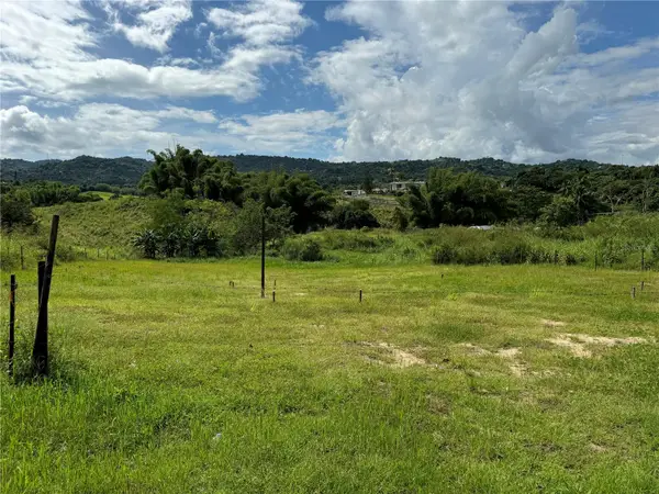 Address Withheld By Seller, JUNCOS, PR 00777