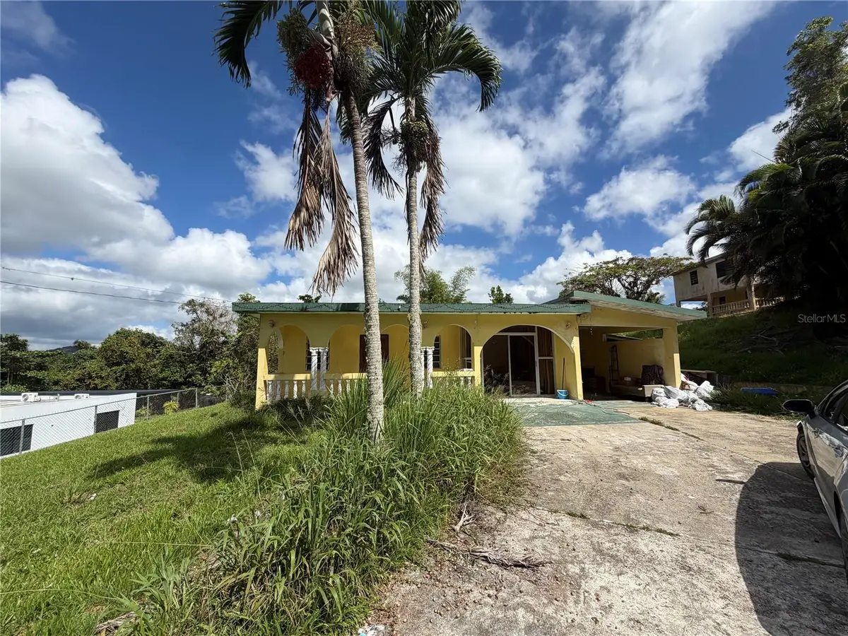 SR 162 KM .9 Int. Asomante Ward, Aibonito, PR 00705 - #1