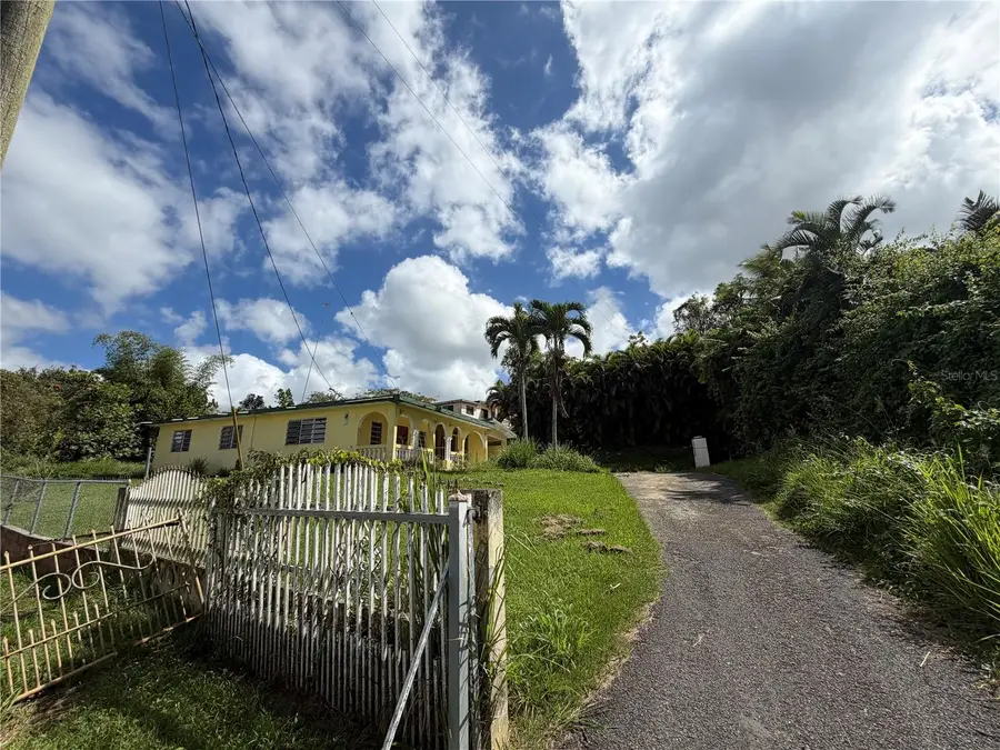 SR 162 KM .9 Int. Asomante Ward, Aibonito, PR 00705 - #2