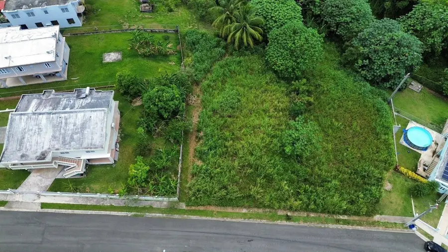 Solar#10, Bloque B, Sector La Linea, Bo Jaguas, Ciales, PR 00638 - #2