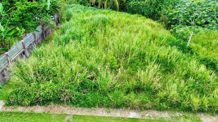 Solar#10, Bloque B, Sector La Linea, Bo Jaguas, Ciales, PR 00638 - #3
