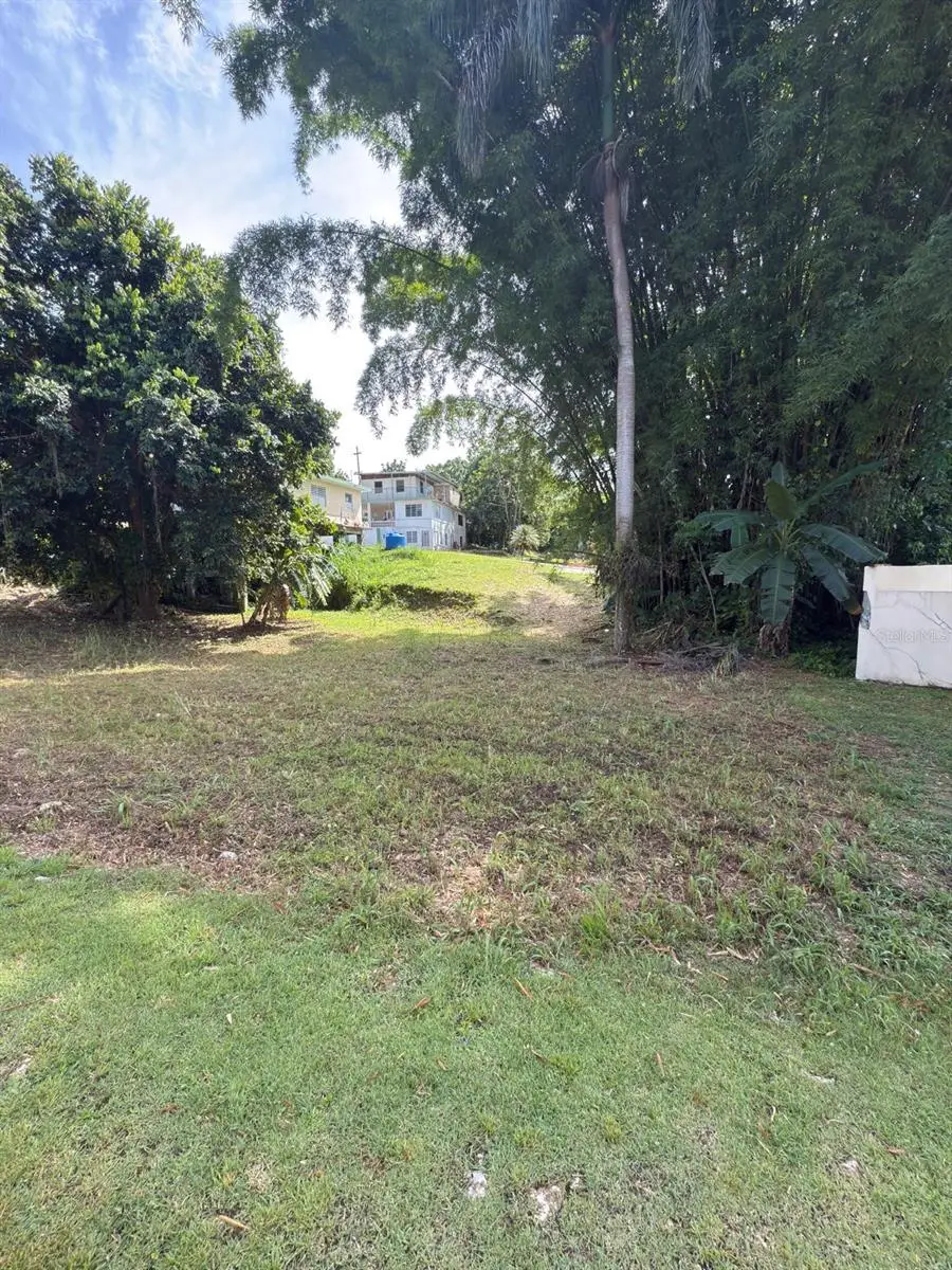 Carr 454 Bo Callejones, Lares, PR 00669 - #1