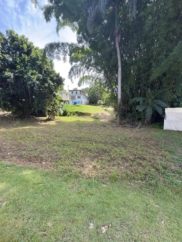 Carr 454 Bo Callejones, LARES, PR 00669