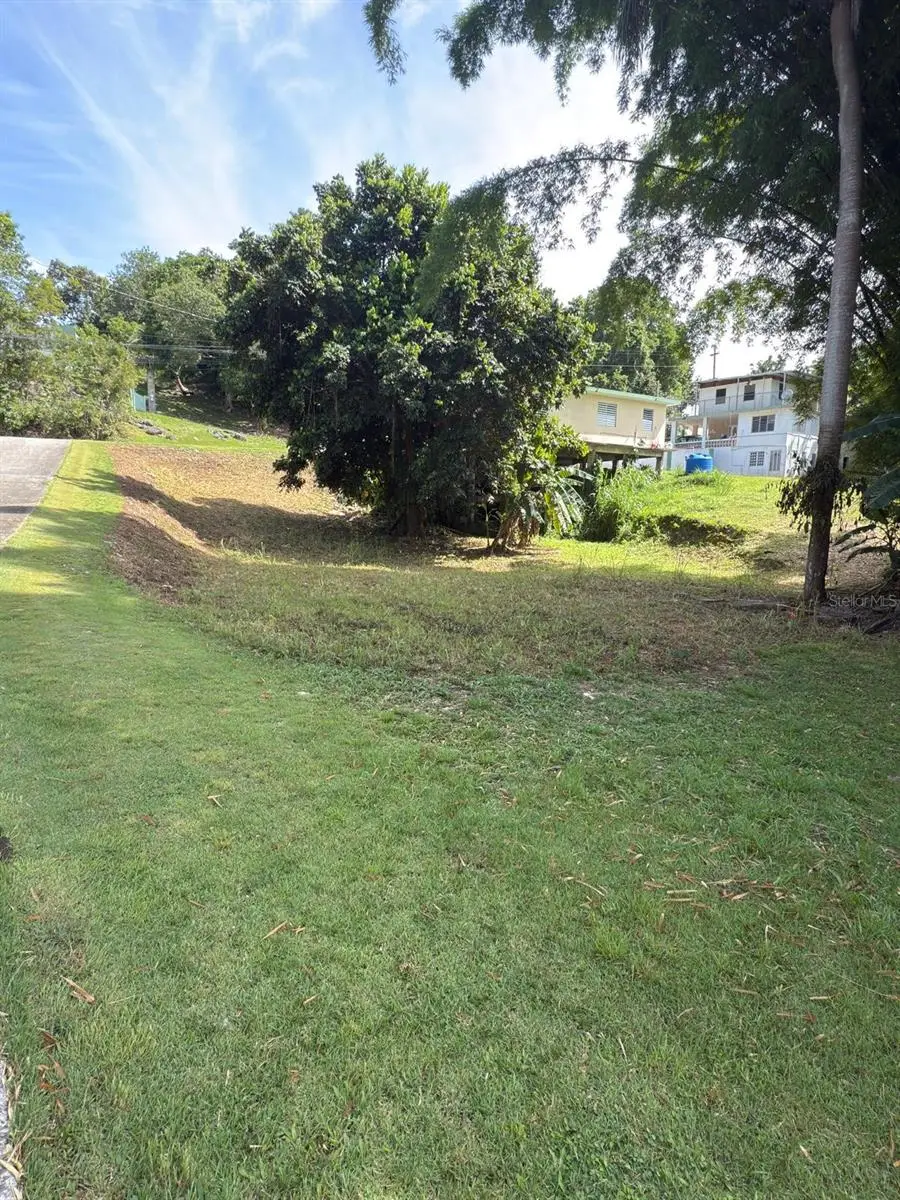 Carr 454 Bo Callejones, Lares, PR 00669 - #2