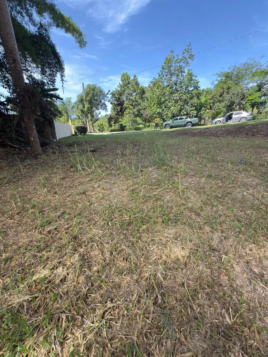 Carr 454 Bo Callejones, Lares, PR 00669 - #3
