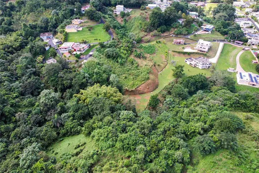 Pr 568 Km 28.5 Sector El Limon Padilla, Corozal, PR 00783 - #2