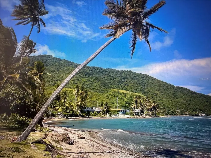 20 Hwy 7758, Patillas, PR 00723 - #3