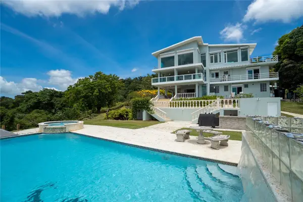 9957 Elias Santiago, CANOVANAS, PR 00729