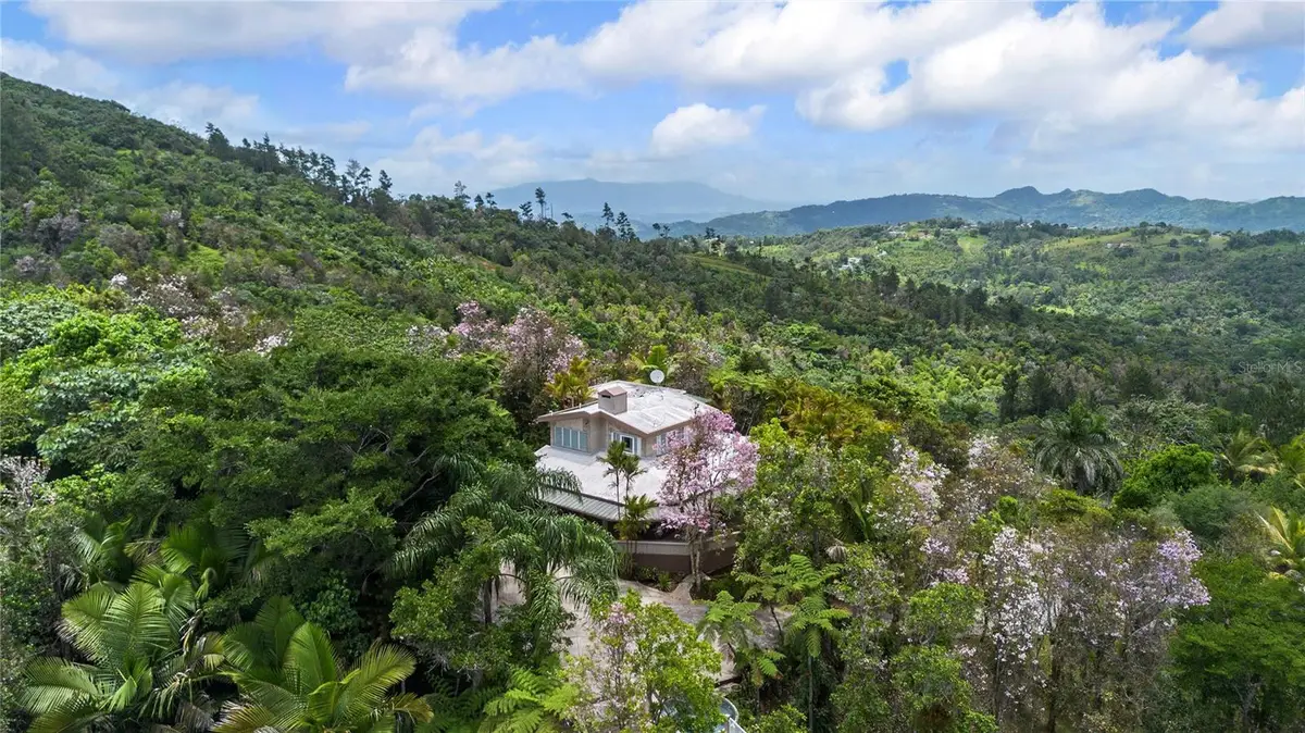 PR-184 Guavate, Cayey, PR 00736 - #1