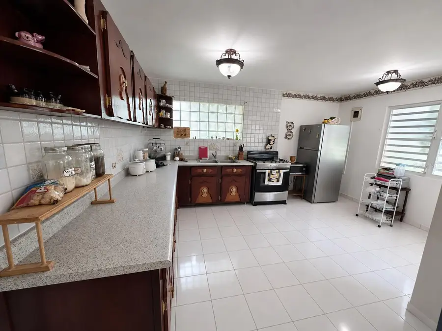 203 Comm Maria Antonia, Guanica, PR 00653 - #3