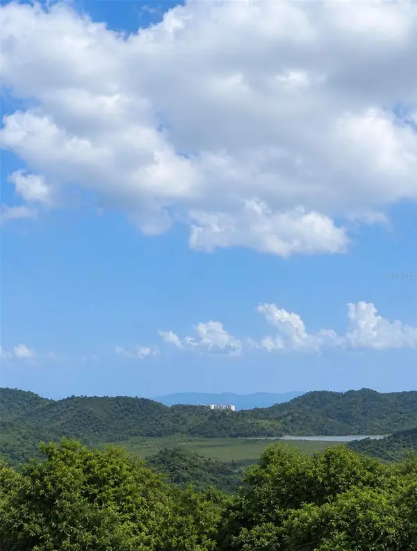 Fincas De Naranjo, FAJARDO, PR 00738
