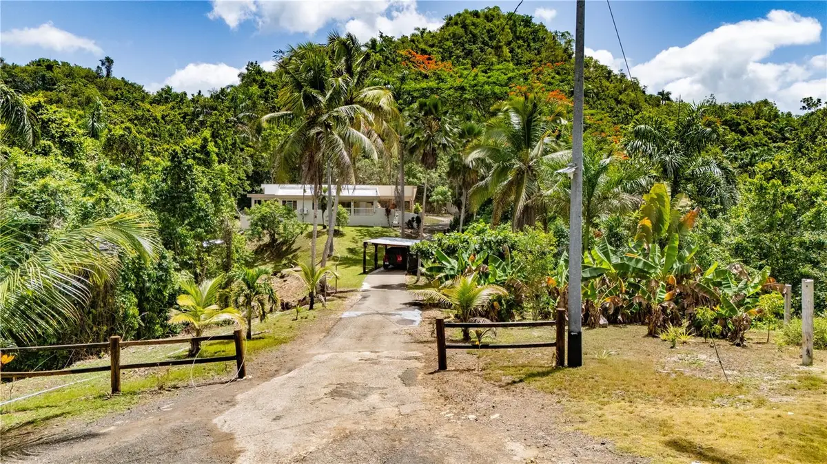 Comm Cienguetas #33 Bo Esperanza, Arecibo, PR 00612 - #1