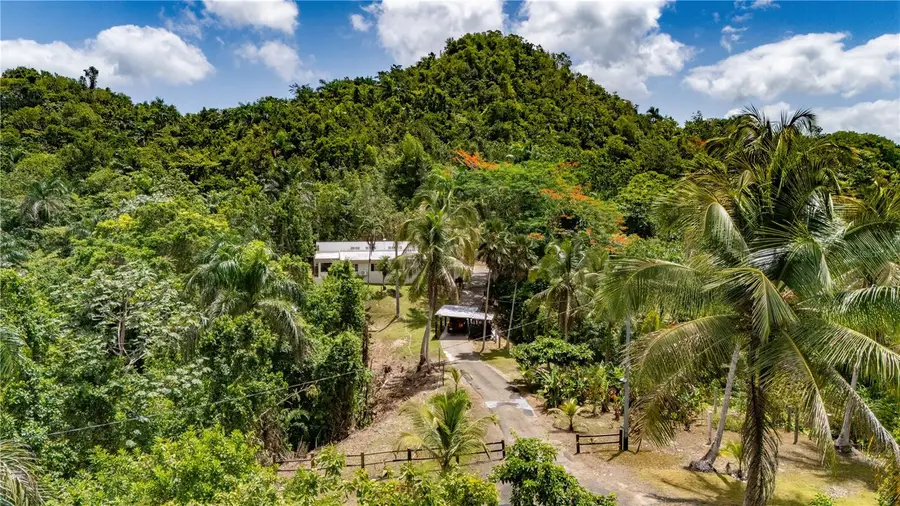 Comm Cienguetas #33 Bo Esperanza, Arecibo, PR 00612 - #2