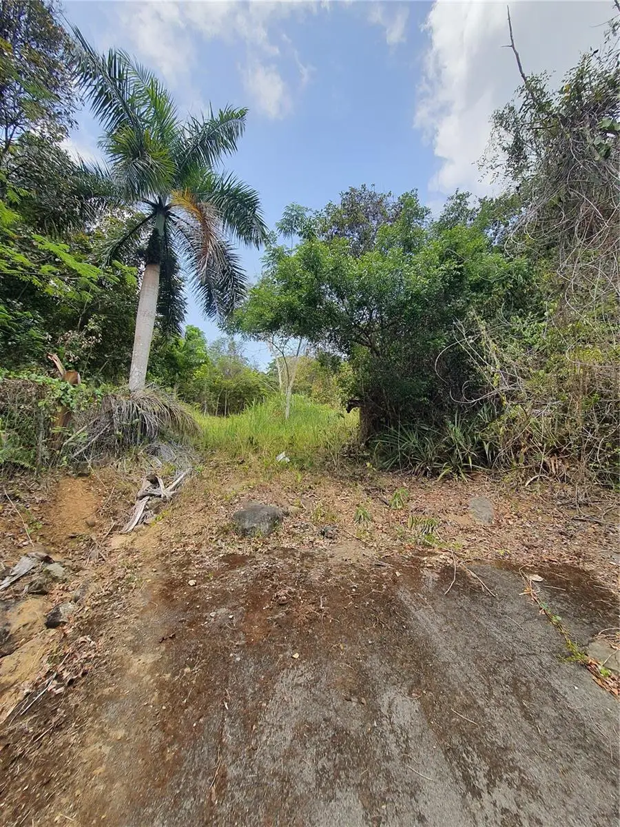 PR-853 INTERIOR Cacao Ward #LOT 7, Carolina, PR 00987 - #3