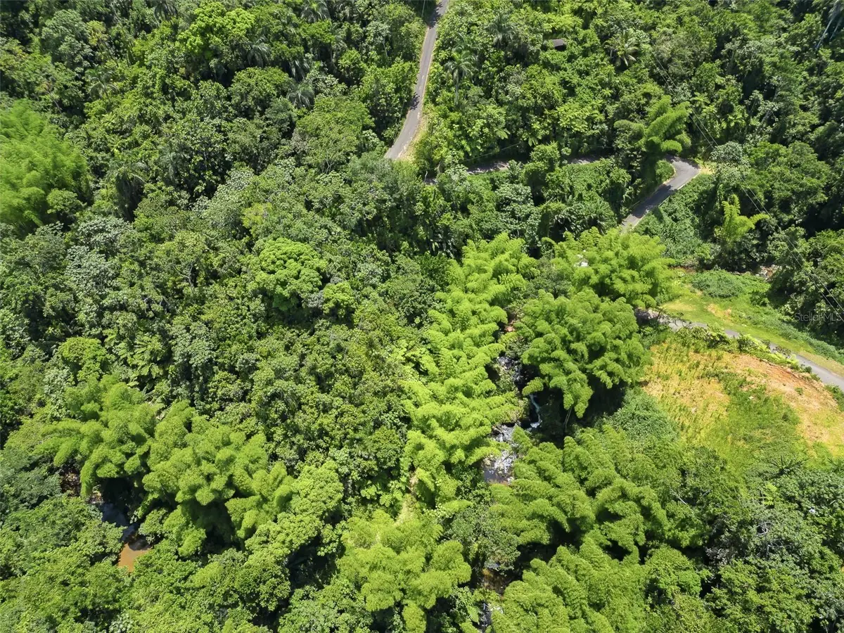 Carretera 124 Km 1.3 Bo. Buena Vista, Las Marias, PR 00670 - #1