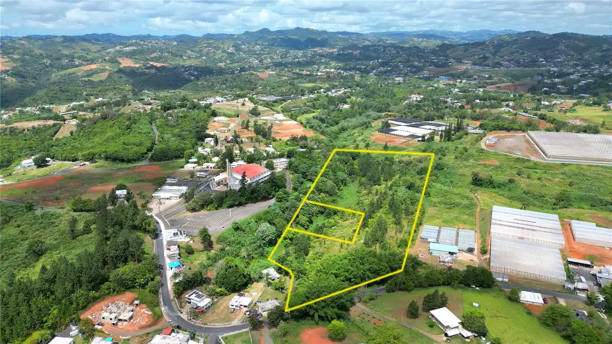 779 St. Quebradillas, Barranquitas, PR 00794 - #1