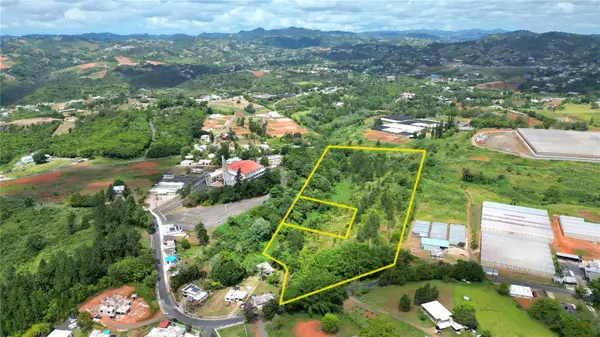 779 St. Quebradillas, BARRANQUITAS, PR 00794