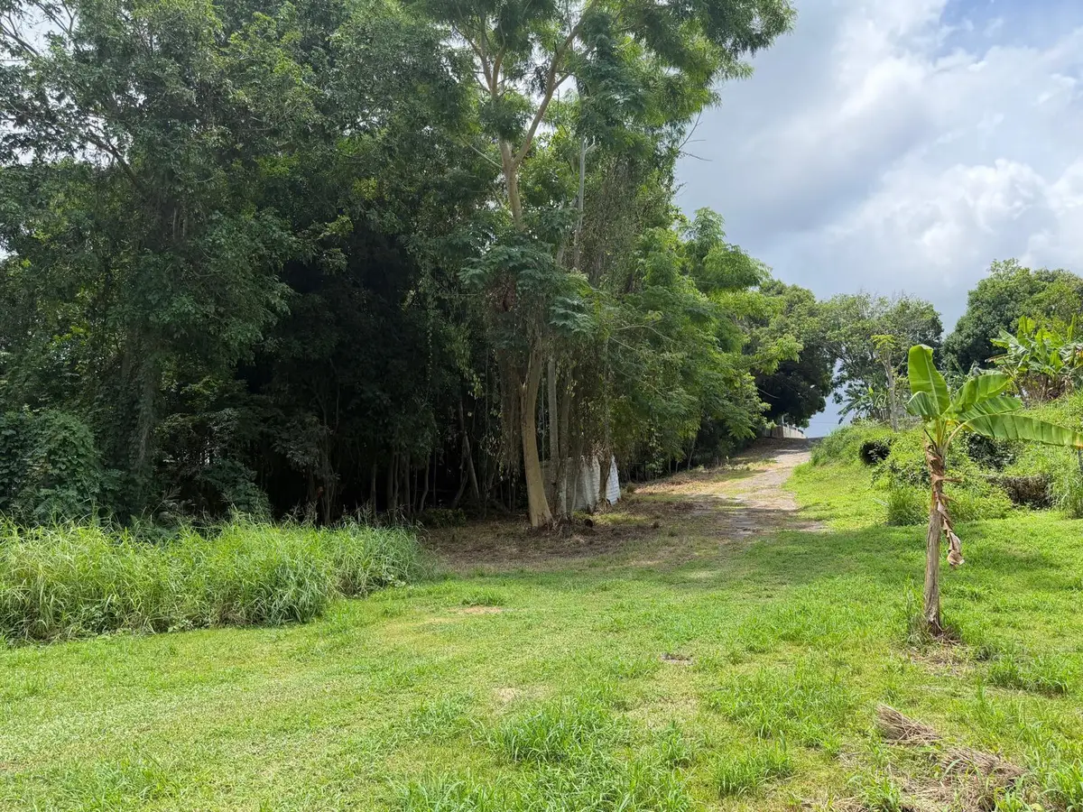 CARR 304 Barrio Jaguitas Ward, Hormigueros, PR 00660 - #1